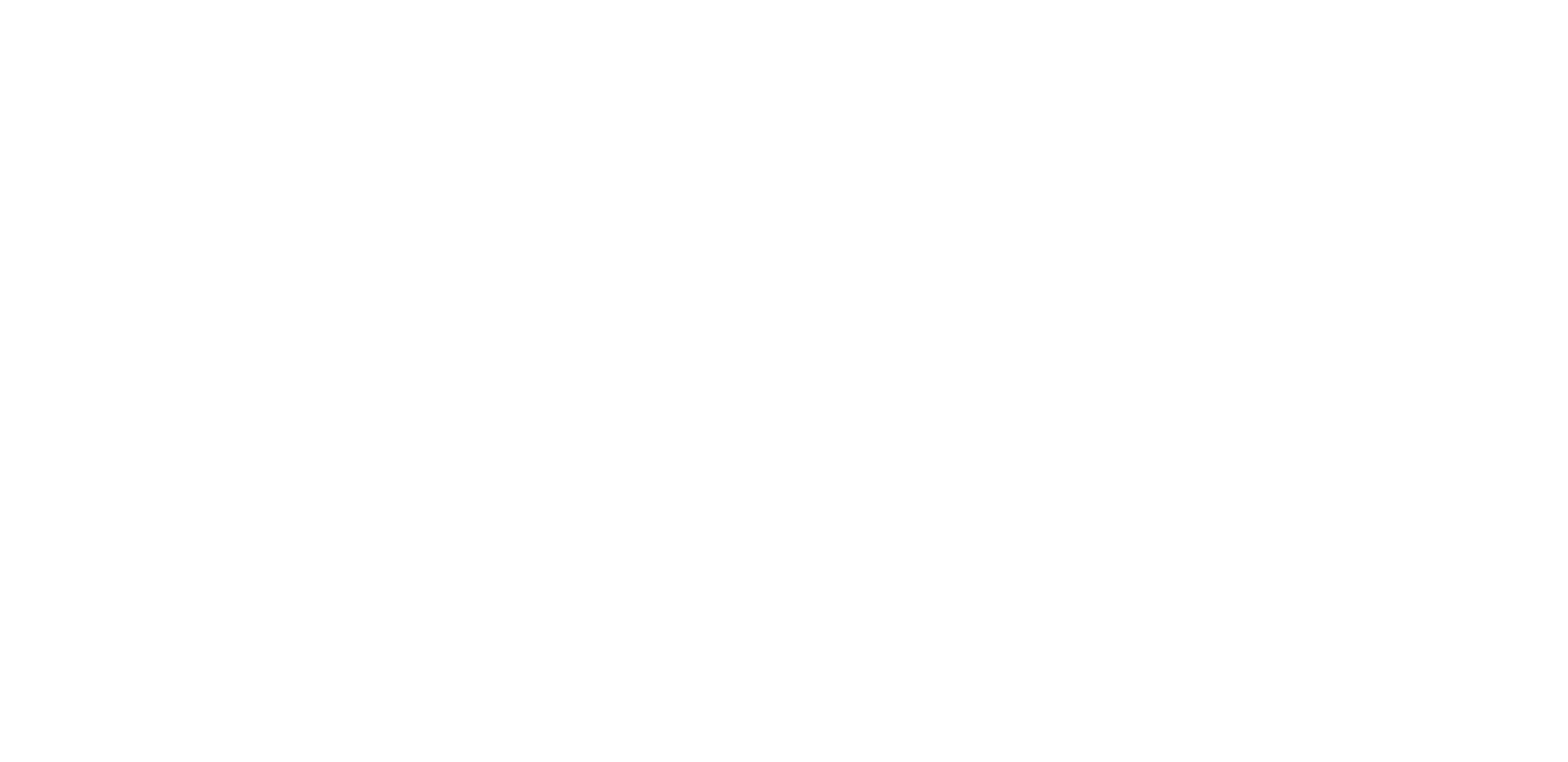 logo_flip